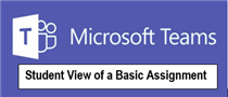  Student View of a Basic Assignment 